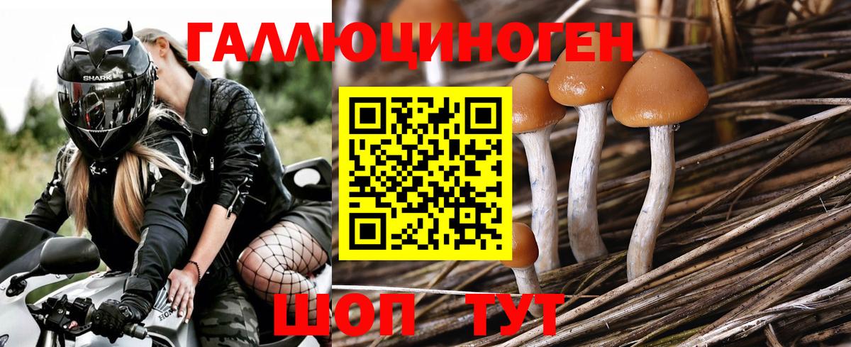 Галлюциногенные грибы ЛСД Менделеевск
